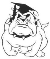 Senior